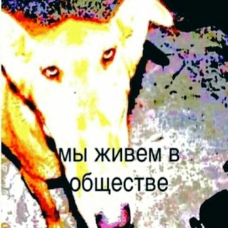 Логотип @mememtoori - mememto ori