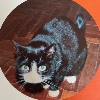 Логотип @memes_ded - мемный канал 😼