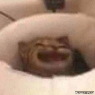 Логотип @memes_feed - Memes Feed