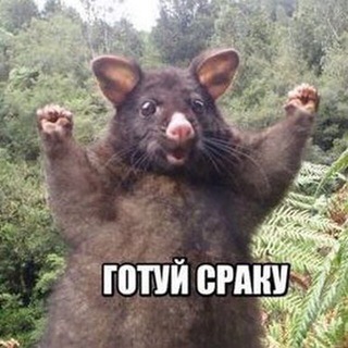 Логотип @memes_lopata - Мемчанские с лопаты