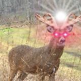 Логотип @memes_mf - 🔥Spicy Steamed Memeballs🍝