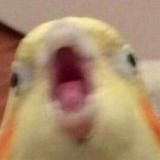 Логотип @memes_tutas - Мемы | Юмор | Гифки