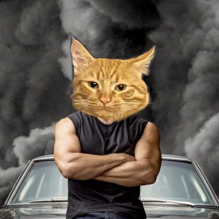 Логотип @memesbycamilla - семья одобрит