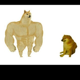 Логотип @memeschannelcanaldememes - CANAL DE MEMES 😂😀😃😄😁😆😅😂🤣 MEMES CHANNEL😀😃😄😁😆😅😂🤣