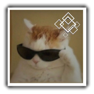 Логотип @memesfortiktok50 - Мемы для тик тока