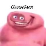 Логотип @memesrai - Дебилы в чате со стрима