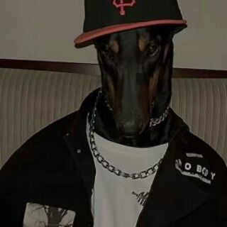 Логотип @memestagroup - Memesta - official dog house