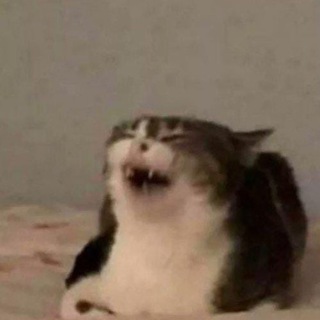 Логотип @memestoexplain - Семён поясняет мемы