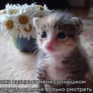 Логотип @memevorot - Мемоворот