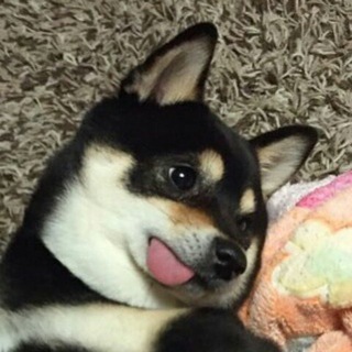 Логотип @memfisi - Good Kid, M.E.M.E. City