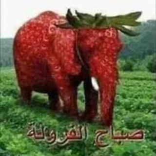 Логотип @memi144 - 144p