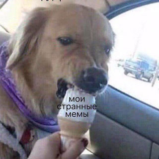 Логотип @memiskrepi - МемыСкрепы