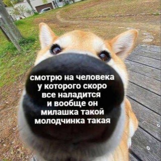 Логотип @memiskrepi2 - МемыСкрепы 2