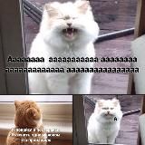 Логотип @memjpg - МЕМ.JPG