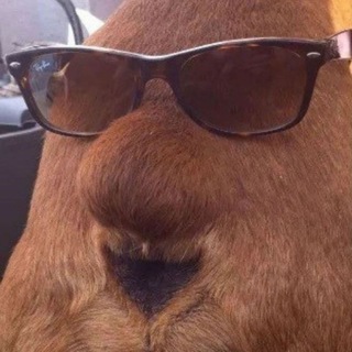 Логотип @memlavochka - Мемная Лавочка