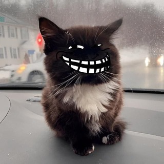 Логотип @memniymem5 - Мемный Мем