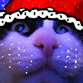 Логотип @memo_grad - MEMOGRAD