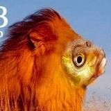 Логотип @memobossik - МемоБосс