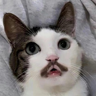 Логотип @memochnaya07 - Мемочная