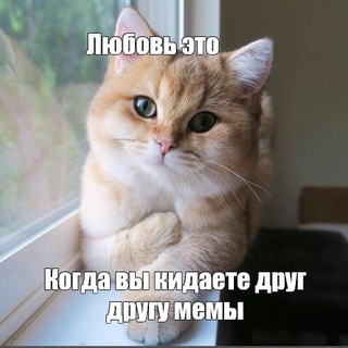 Логотип @memorandum_hveya - МЕМОрандум