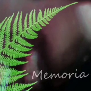 Логотип @memoria_parfums - Memoria🌿