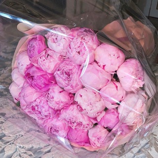 Логотип @memorie77 - 𝓛