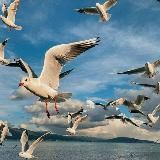 Логотип @memories_our - ᴍᴇᴍᴏʀɪᴇs ᴏᴜʀ 🖇