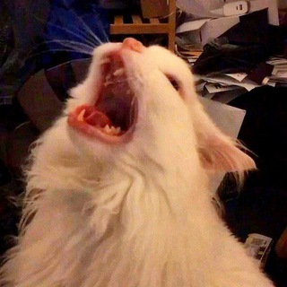 Логотип @memoryy12 - MеMOɾY