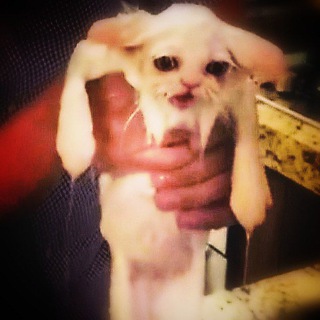 Логотип @memovaj - Аватарки для мужиков