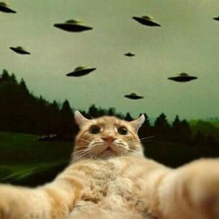 Логотип @mems_eban - Полная ебанина