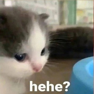 Логотип @memsforgoodevening - мемы для приятного вечера