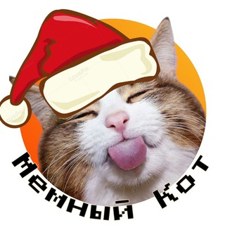 Логотип @memskots - Мемный Кот😺