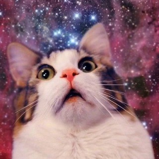 Логотип @memstrualniy_cikl - МЕМструальный цикл