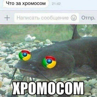 Логотип @memstudy - Пары СОМиКОв 🐺