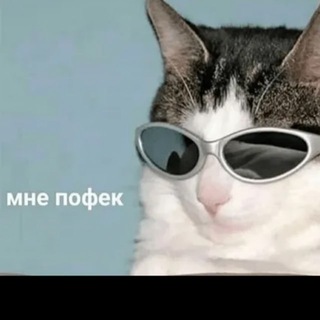 Логотип @menepofik - Мне пофек