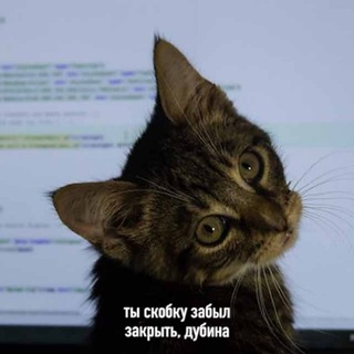 Логотип @mengmeiyingblog - Кружок по фронтенду⭕️