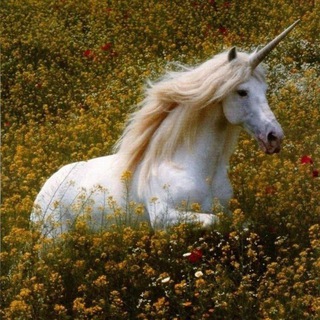 Логотип @mentalhealthdetox - Mental Detox