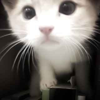 Логотип @meoswen - 😉