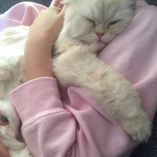 Логотип @meowkqw - солнечные зайчики