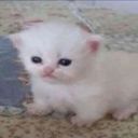 Мягкие всратыши