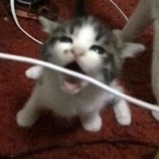 Логотип @meowloveyou - Привет, надеюсь тут тебе будет уютно.