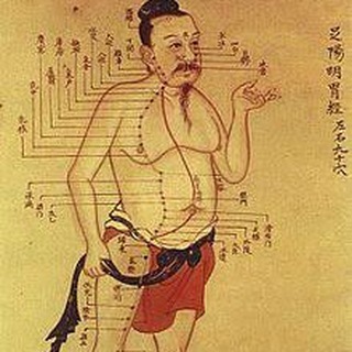 Логотип @meridianacupuncturists - Meridian Acupuncturists