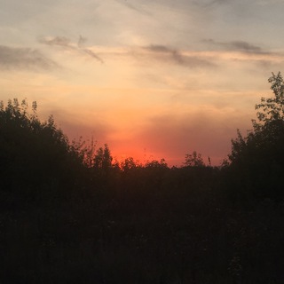 Логотип @merkushinamusic - Музикальний пошук