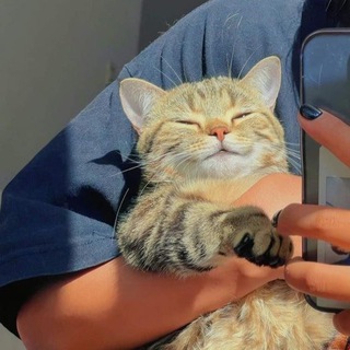 Логотип @mesforu - Зай, тебе сообщение…