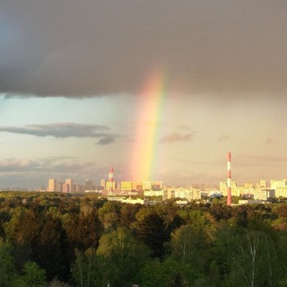 Логотип @mesherales - Мещерский лес. Новости