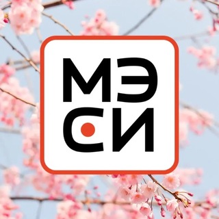 Логотип @mesi_official_38 - МЭСИ