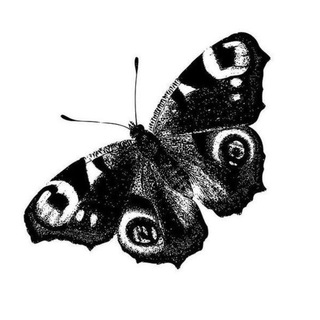 Логотип @mesientobien - |⇒ ƒєєℓ gοο∂