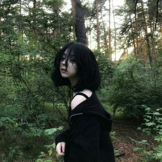 Логотип @meskvis - темки для тгшки