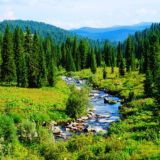 Логотип @mespanorama - Местная панорама