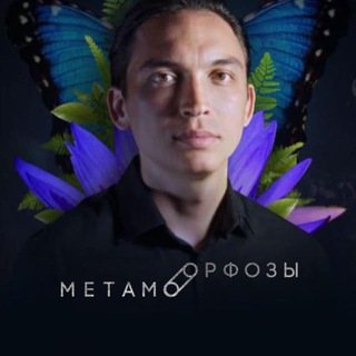 Логотип @meta_lite - Метаморфозы.lite 🦋